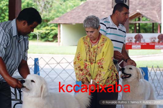 Clique sobre a foto para fechar